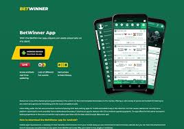 Полное руководство по BetWinner Бонус